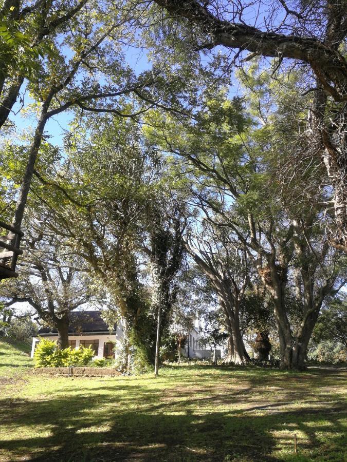 Le Arc Manor House Daire Franschhoek Dış mekan fotoğraf